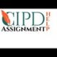 cipdassignmenthe