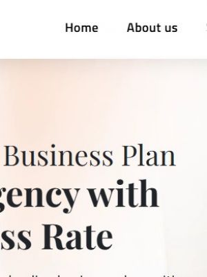 Business Plan Writi..